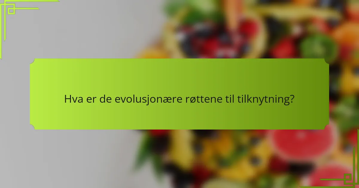 Hva er de evolusjonære røttene til tilknytning?