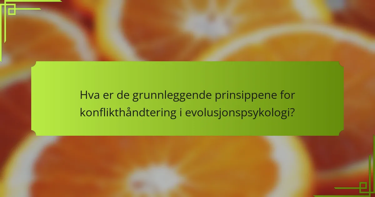 Hva er de grunnleggende prinsippene for konflikthåndtering i evolusjonspsykologi?