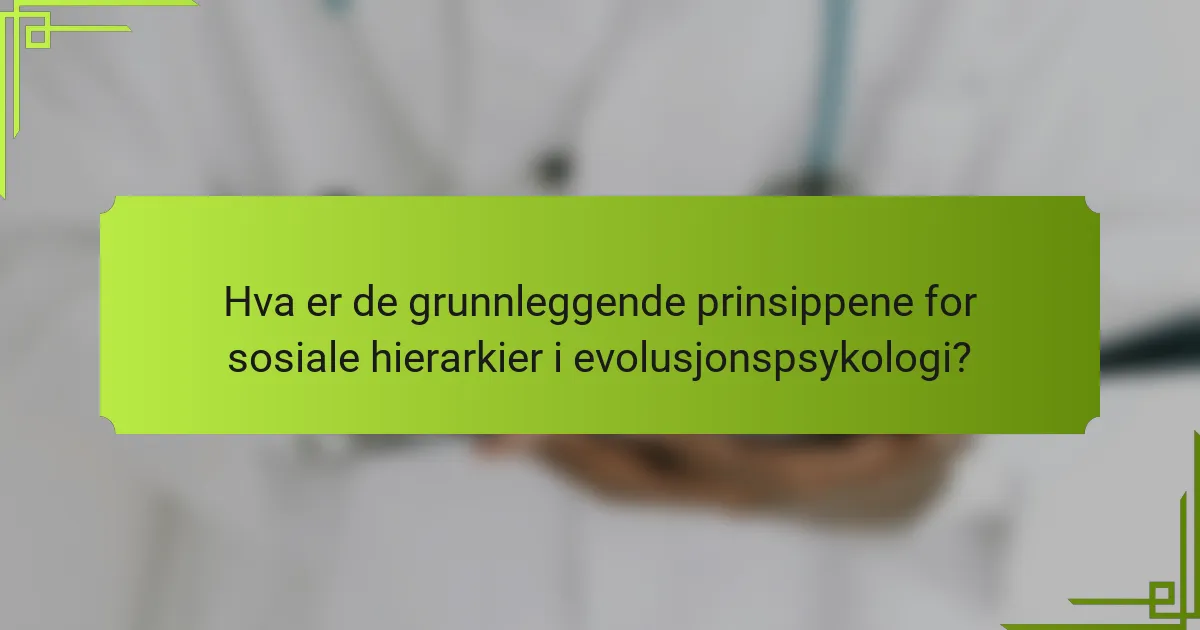 Hva er de grunnleggende prinsippene for sosiale hierarkier i evolusjonspsykologi?
